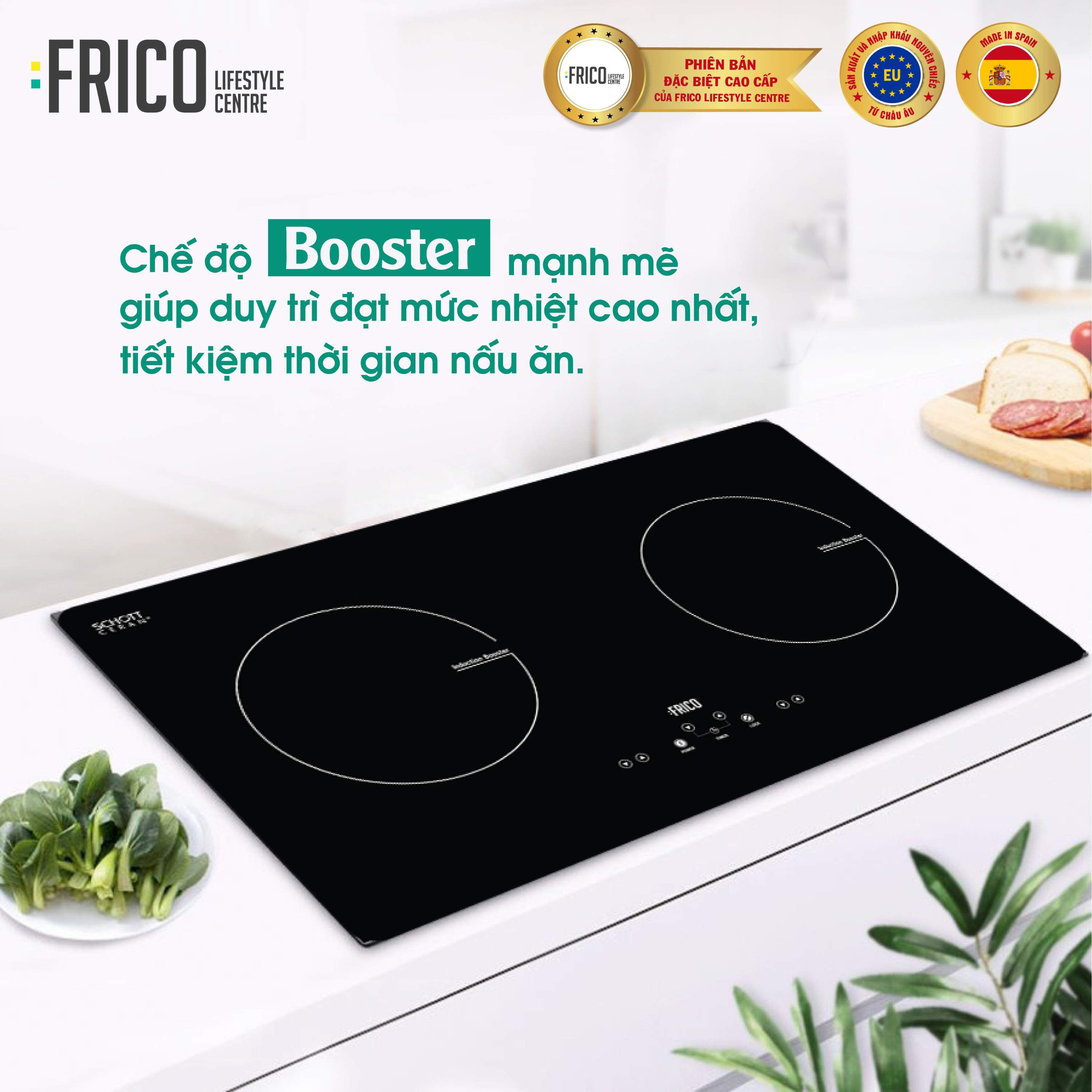 Bếp điện từ FC-DC176es