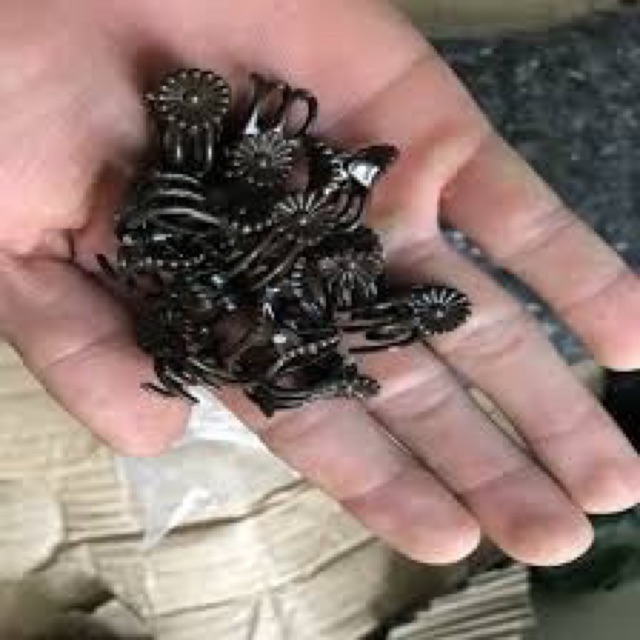 10 chiếc kẹp lan cố định lan