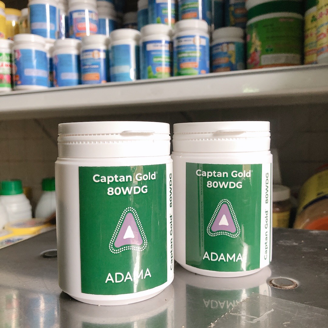 Trừ Nấm, Thối Nhũn - captangold MỸ- 100g