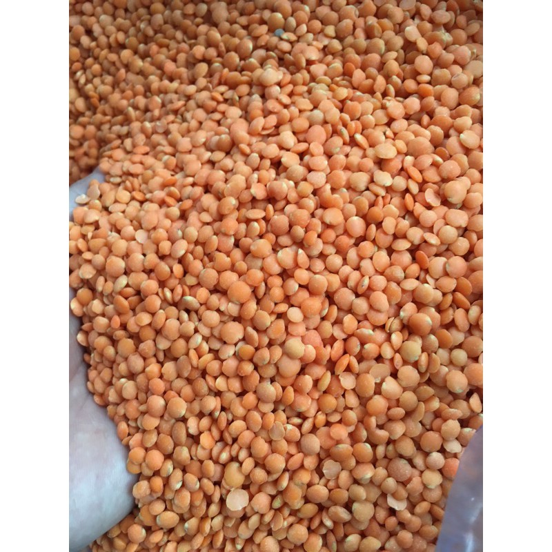 Đậu lăng đỏ thơm ngon gói 1kg ( Hút chân không)