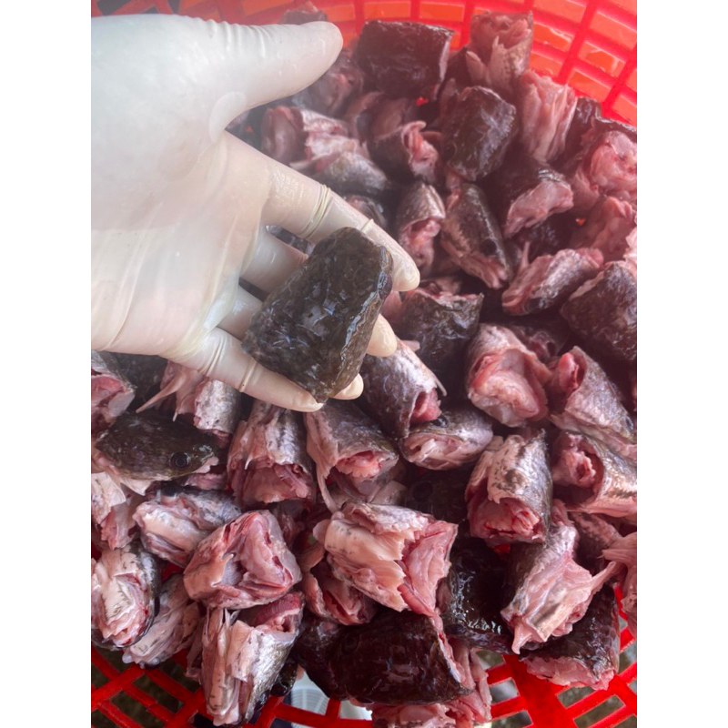 Đầu cá lóc đồng bịch 1kg (giao tphcm)