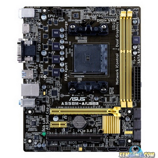 Mainboard AMD Socket AM3, AM3+ FM1, FM1+ FM2 - FM2+ Và CPU AMD Socket FM2 - FM2+