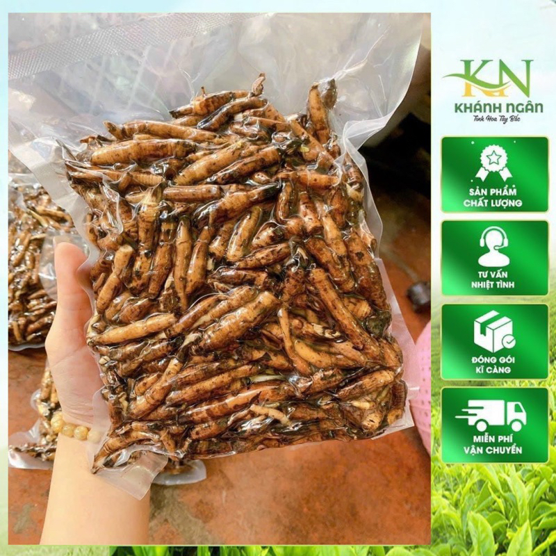 Sâm Cau Đen Tươi Giải Pháp Vàng Cho Sức Khỏe Của Bạn