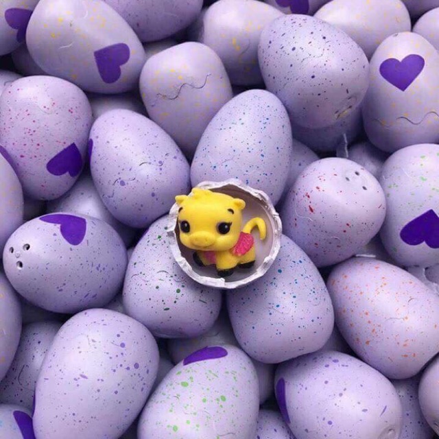 Combo 10 Trứng Hatchimals Season 1 - Trứng Tím