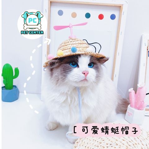 NÓN CỐI CHO CHÓ MÈO SIÊU DỄ THƯƠNG, NHIỀU MẪU