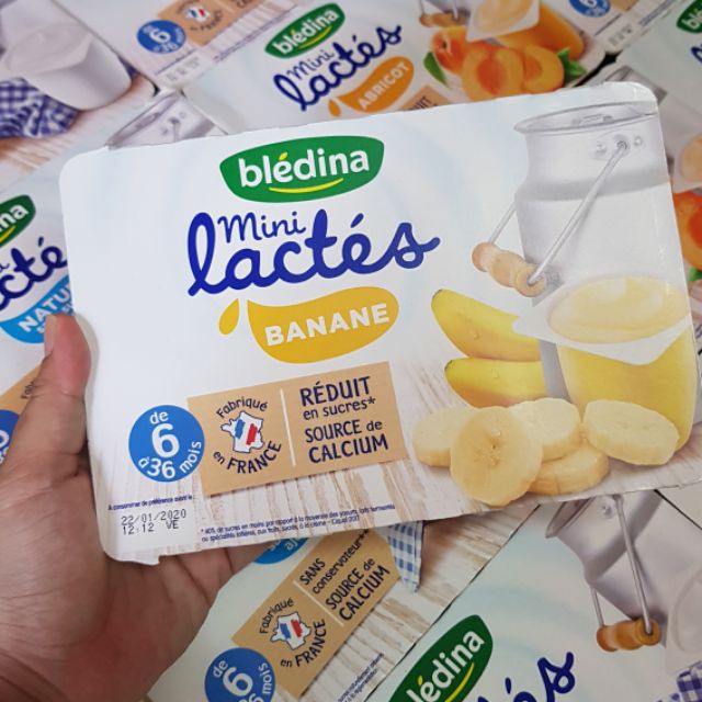 Sữa Chua Bledina Pháp đủ vị (55gx6 hộp) 6M+