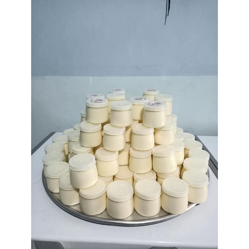 1 Hũ sữa chua 120 ml