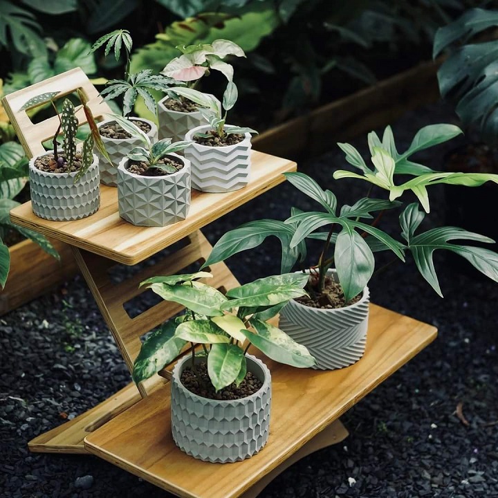 Chậu cây cảnh mini để bàn, chậu Xi măng Decor, Chậu bonsai chính hãng Cori PL10 11x8.5cm, trồng cây cảnh, sen đá, xương rồng