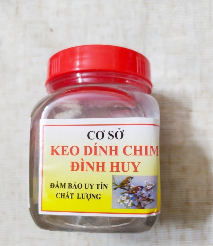 [HCM]KEO BẪY CHIM SẺ