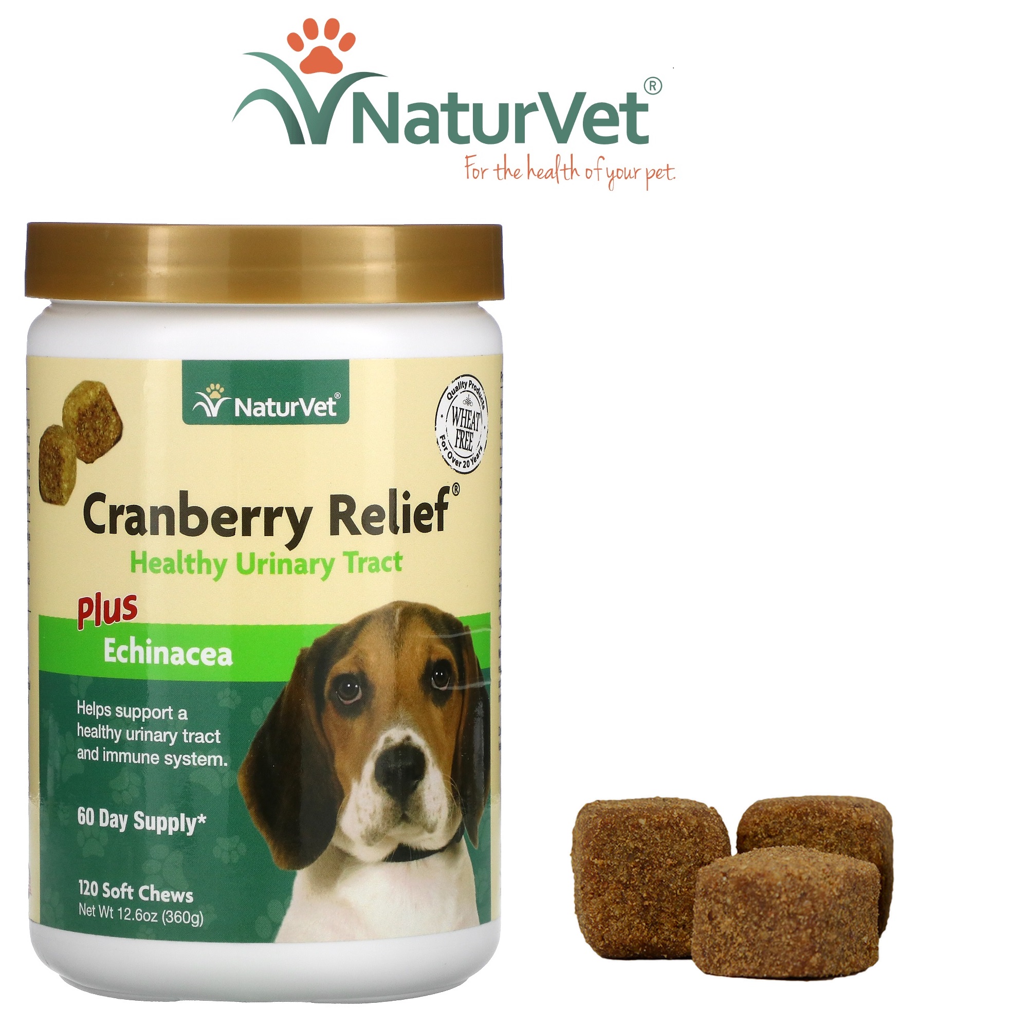 How Much Echinacea To Give Dog