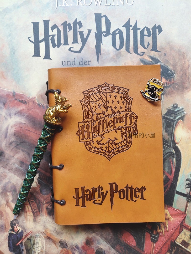 Diary surrounding gryffindor harry potter slytherin hand books ...