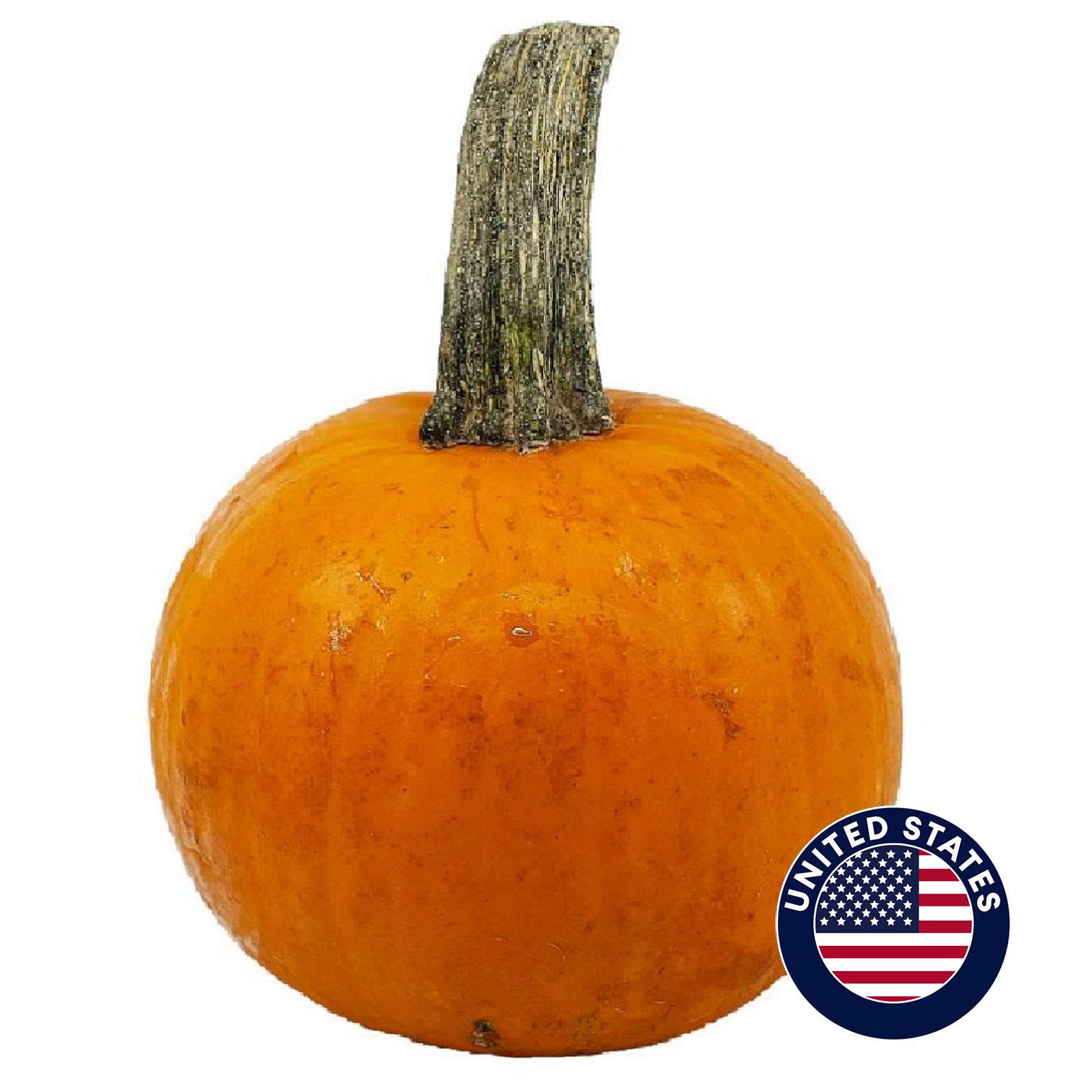 Halloween Pumpkin Jack O Lantern USA | Lazada Singapore