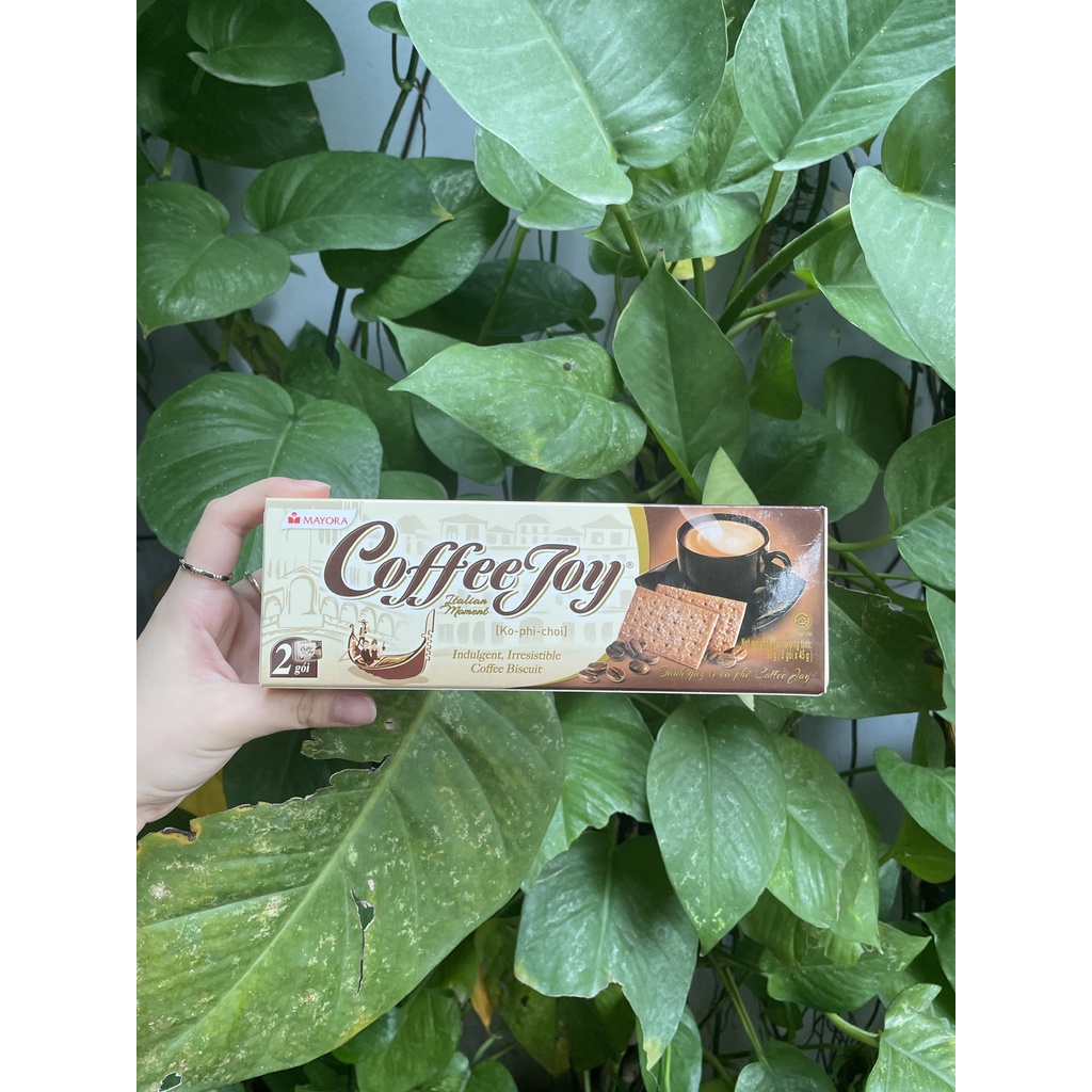 Bánh Quy Vị Cà Phê Coffee Joy (Hộp 312g)