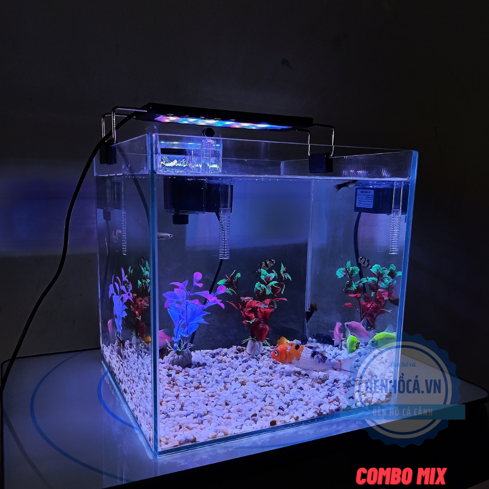 [Hoàn Tiền 10%] Hồ cá mini CUBIC 25cm để bàn