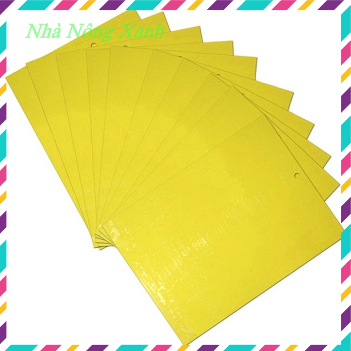 Miếng bẫy ruồi vàng, côn trùng, 2 mặt siêu dính, set 20/50 miếng