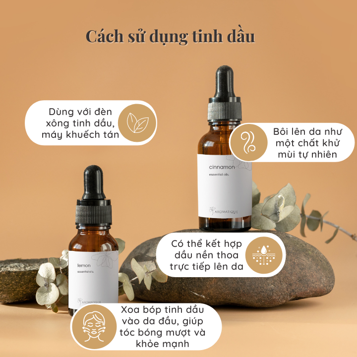 Tinh Dầu Gỗ Tuyết Tùng (Hoàng Đàn) Nguyên Chất Thiên Nhiên, Mùi Gỗ Ấm, xông thơm phòng, khử mùi cơ thể, massage thư giãnChai 10ml