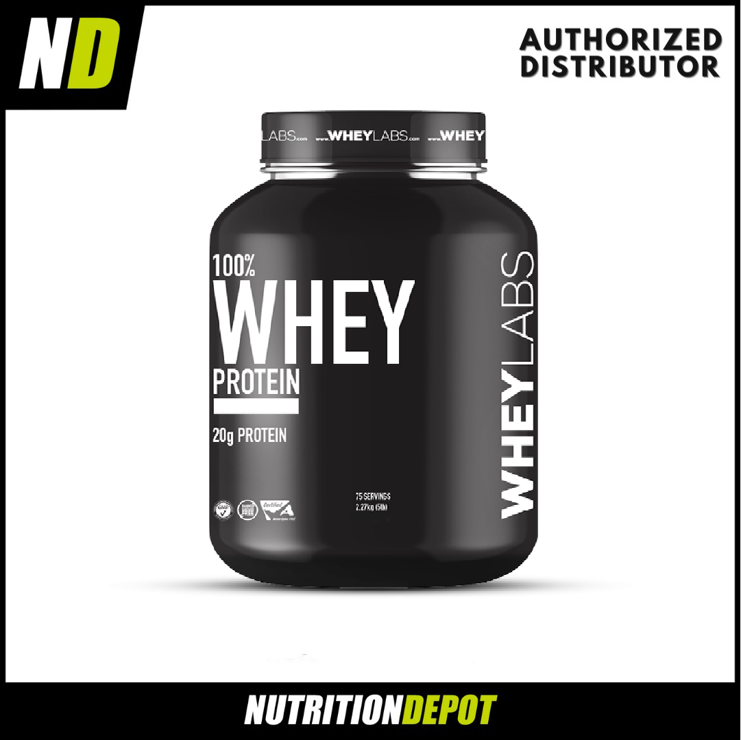 WheyLabs – 100% Whey Protein COCONUT ESPRESSO 5lbs | Lazada PH