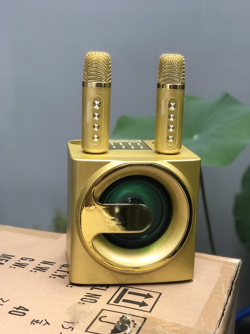 Loa Bluetooth Karaoke Su-Yord YS207 kèm 2 micro không dây