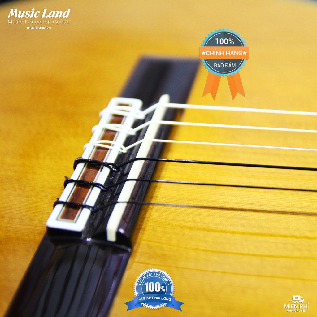 Dây Đàn Guitar Classic D'Addario EJ49 - Chính Hãng