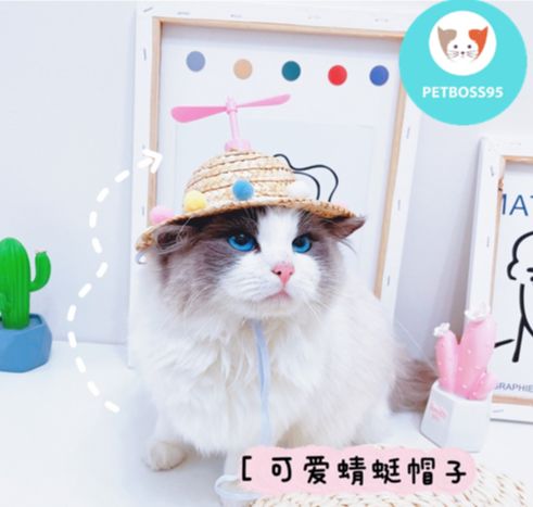 NÓN CỐI CHO CHÓ MÈO SIÊU DỄ THƯƠNG