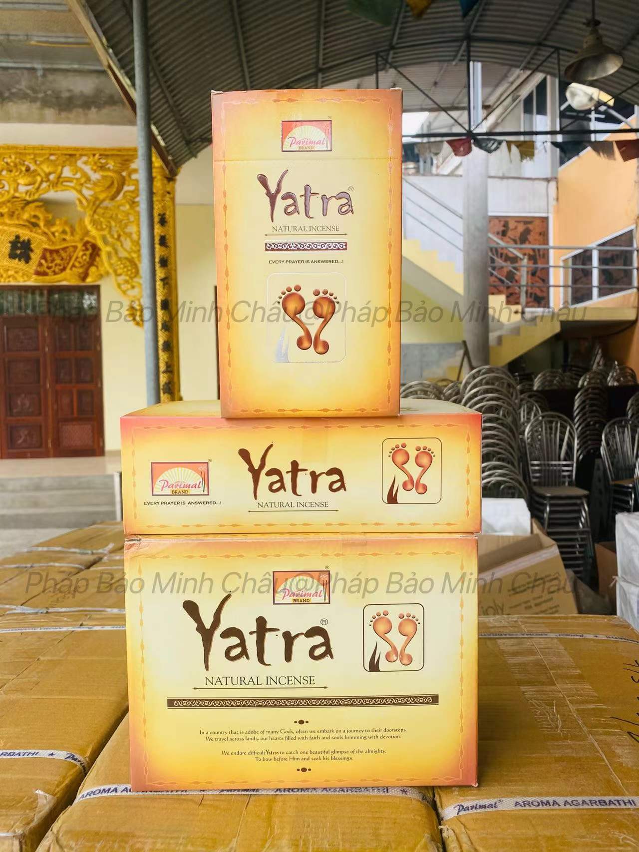[PBMC] Hương cây Yatra Ấn Độ