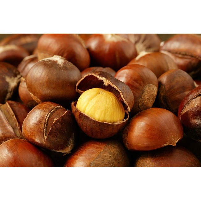 Hạt dẻ hấp Ogranic 100g - USDA chesnuts Dan D Pak