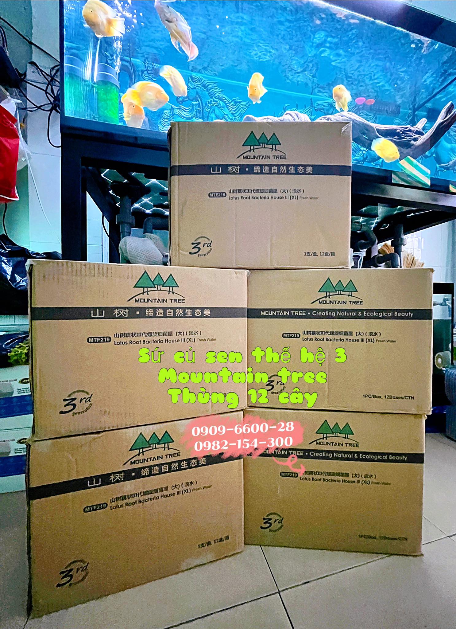 Sứ lọc củ sen thế hệ 3 - Mountain Tree (KT: 8x25 cm)