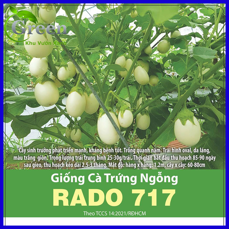 Hạt Giống Cà Trứng Ngỗng