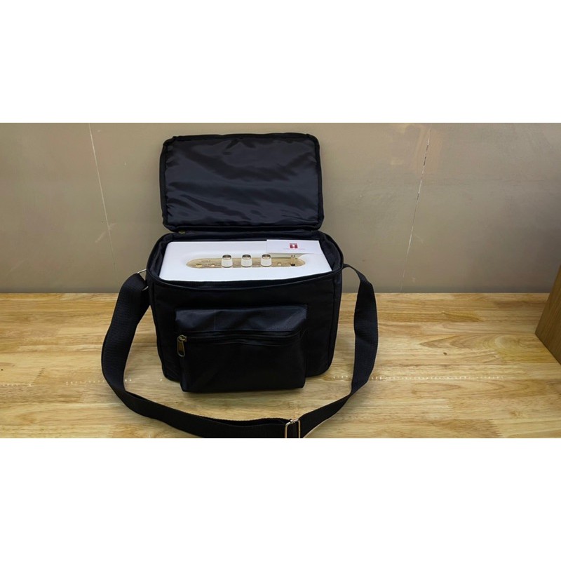 Túi loa Marshall Acton 2 - 3, máy chiếu Beecube Xtreme - T03 A