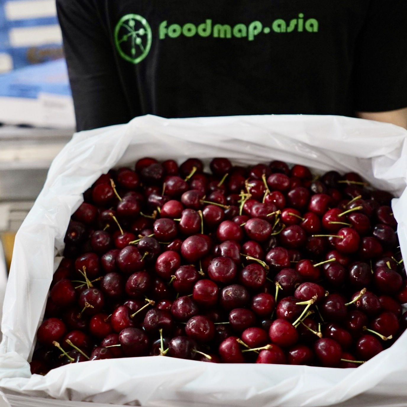 Bơ 034 Béo Thơm - Túi 1kg (3-4 Trái) - Foodmap Fruit