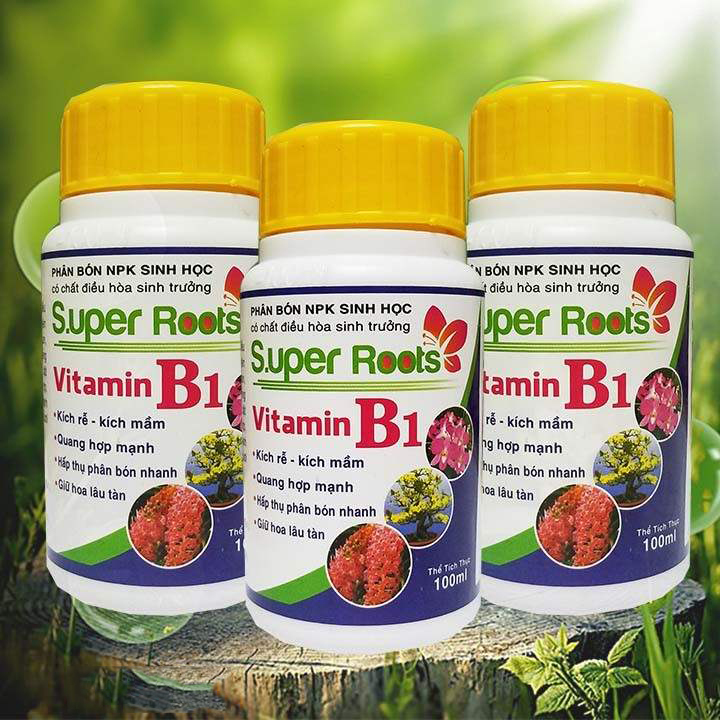 Combo 3 chai 100ml phân bón super root vitamin b1 chuyên dùng cho hoa lan hoa hồng bonsai