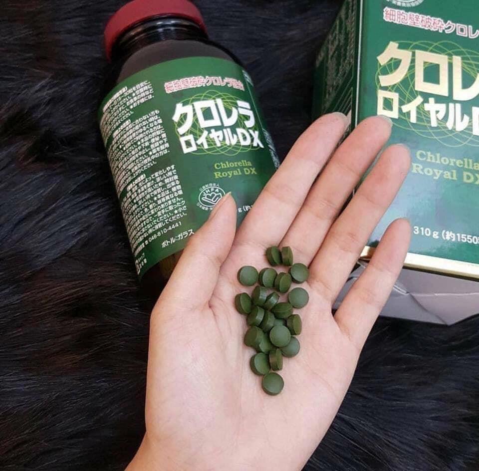 Tảo lục Chlorella Royal DX 1550v Nhật Bản