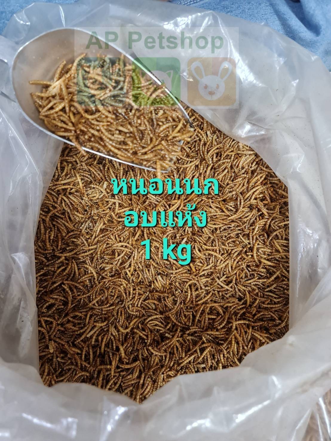 Dried Mealworms 1kg หนอนนก หนอนอบแห้ง Lazada.co.th
