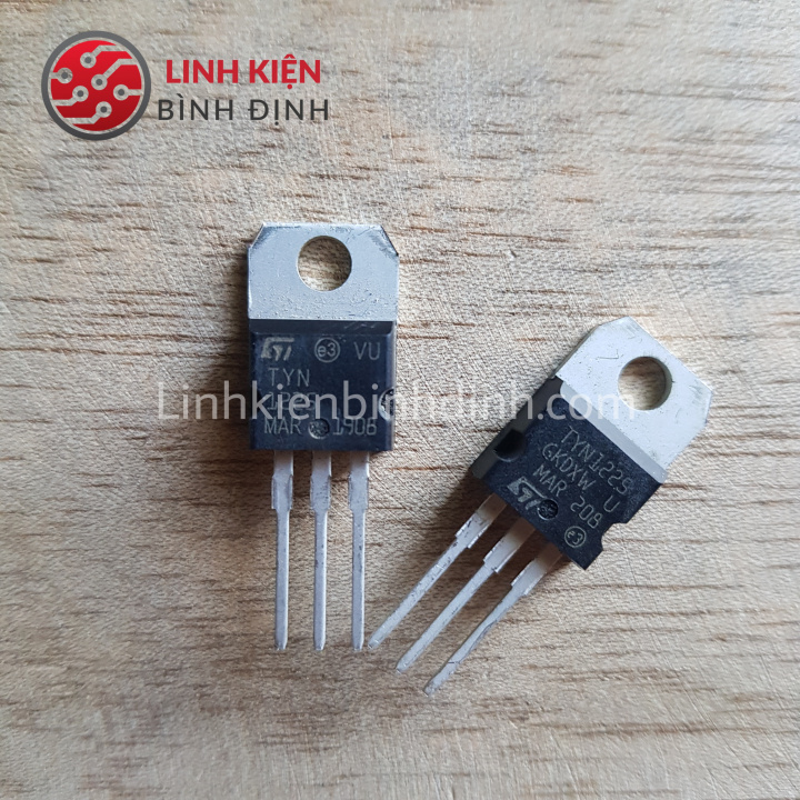Túi 10 con TYN 1225 mới