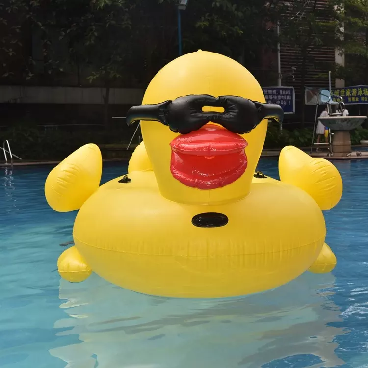 Punk Duck Duck Floatie Pool 258 Duck Pool Float Stock Vectors And