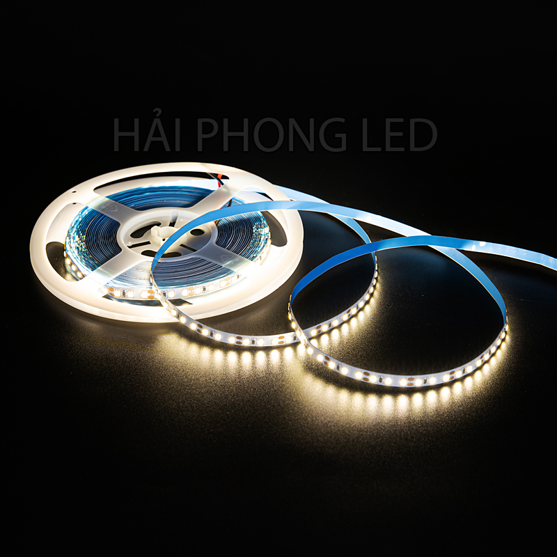 Cuộn dây LED 5m 12V 2835 120led dán tường siêu sáng