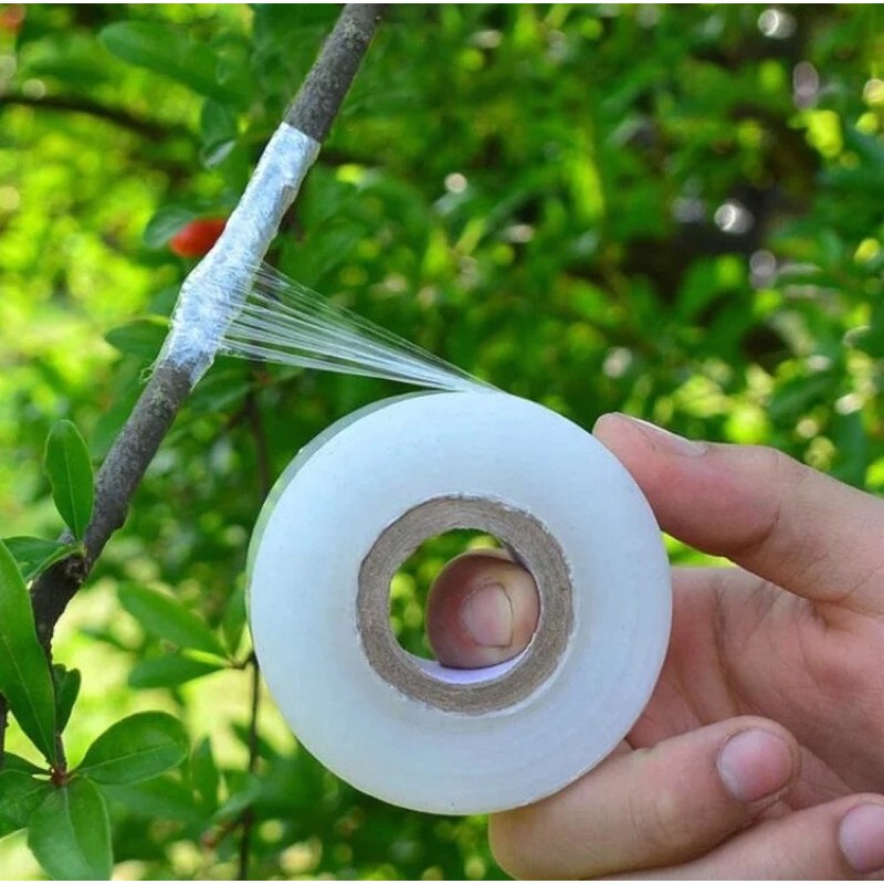 Giấy ghép cành nilong tự hủy - khổ 3 cm