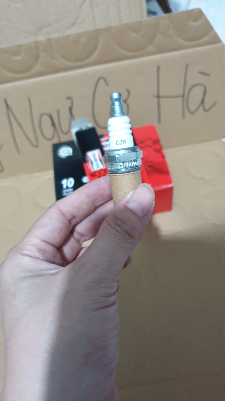 Bugi - buri Champion máy cắt cỏ / cưa xích 2 thì