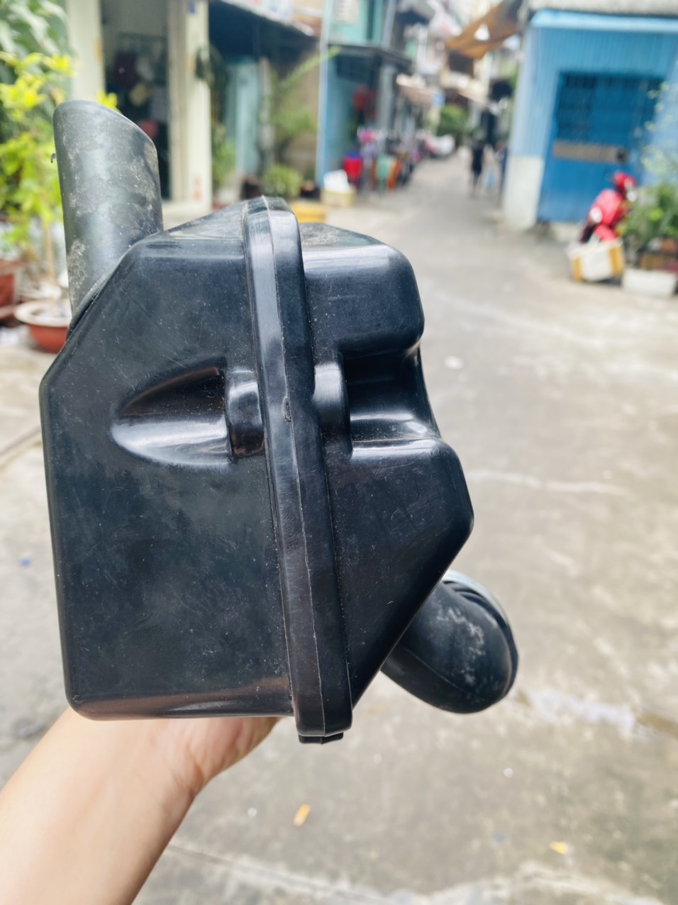 PÔ E ( BAO TỬ ) MAX 3 TRUNG QUỐC
