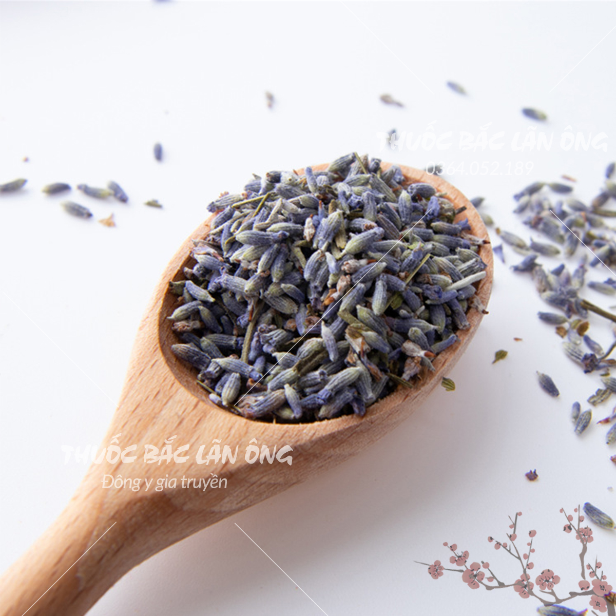 Nụ hoa oải hương 500g (Lavender khô, làm trà, tinh dầu, túi thơm)