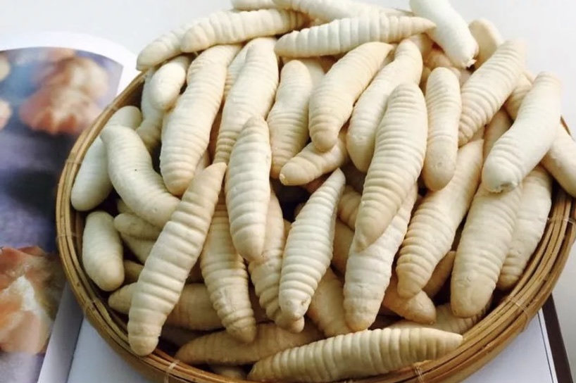 Bánh đuông dừa ( sùn sữa) loại ngon 500g