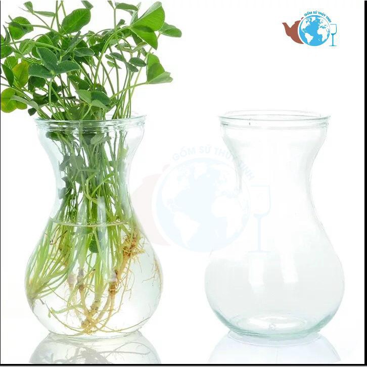 Bình Bông Lọ Hoa Thủy Tinh Eo Nhỏ