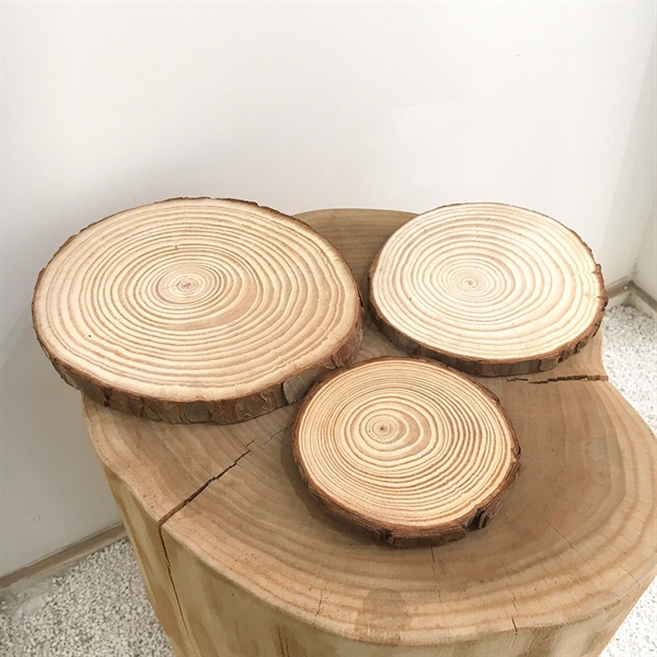 Khoanh gỗ - Phụ kiện chụp ảnh, decor