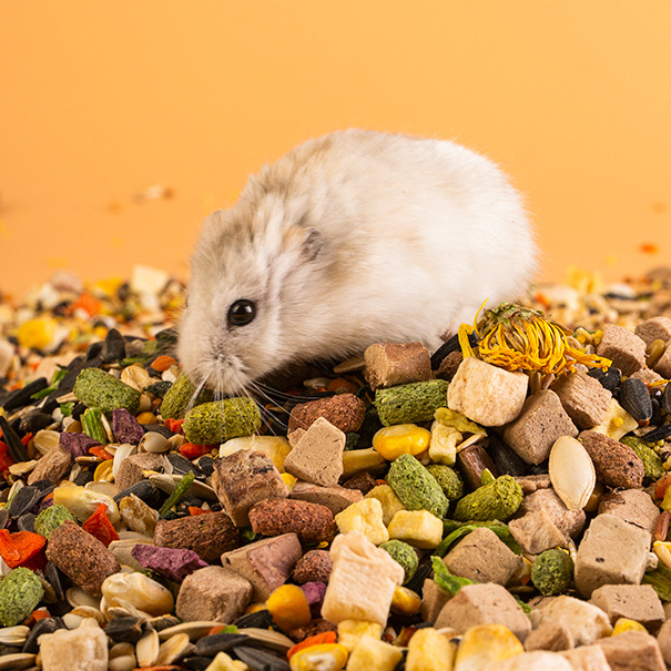 Jessie Brand Hamster Mixed Food