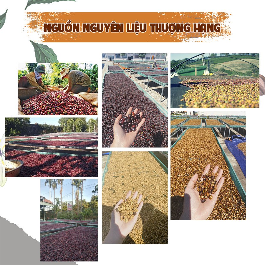 Cà phê Arabica Cầu Đất nguyên chất rang mộc 500gr