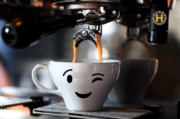Cà phê nguyên chất - House Blend 6 (100% Culi)
