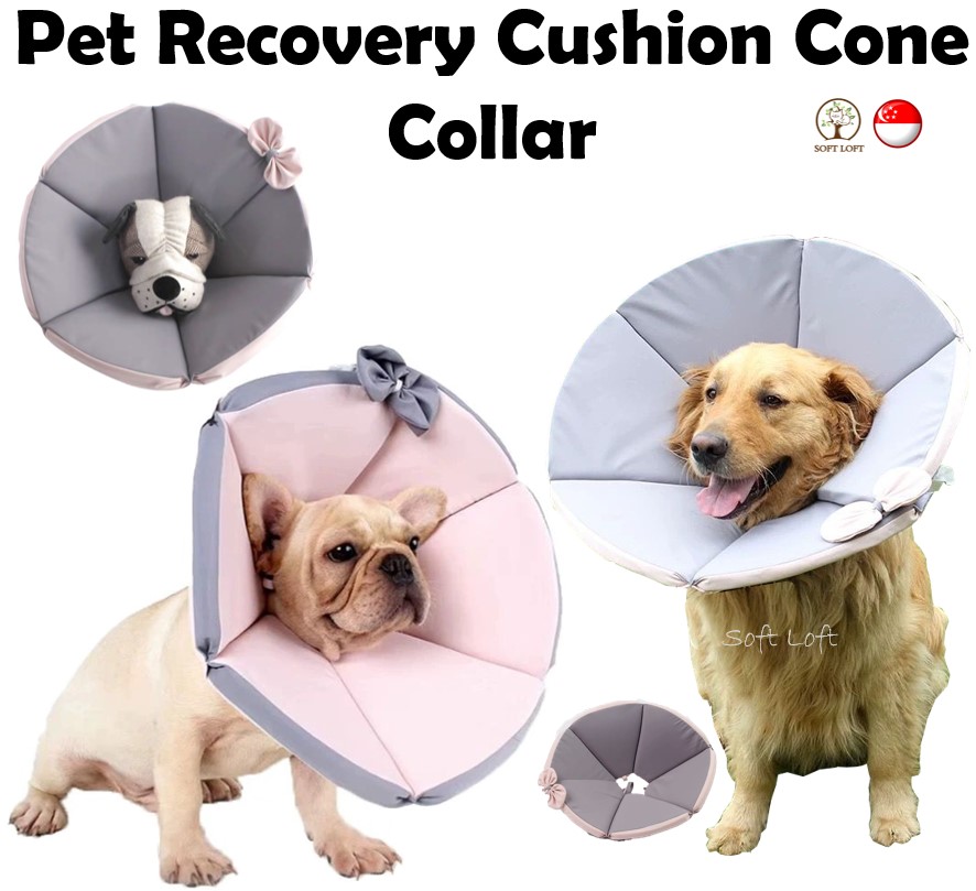 SG STOCK Pet Collar Dog Cat Cushion Collar Soft Pet Elizabethan Collar Post Surgery Cone for cat dog puppy kitten Multi Design Soft Pet Recovery Lazada Singapore