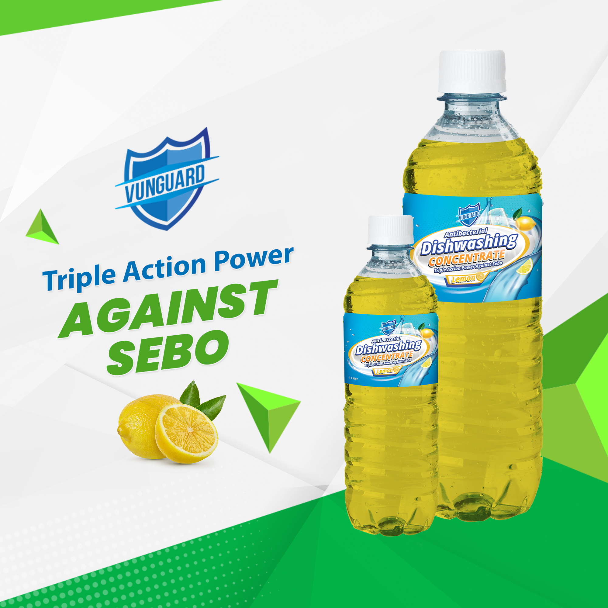 VUNGUARD 10X CONCENTRATED DISHWASHING LIQUID 250 mL LEMON SCENT Lazada PH