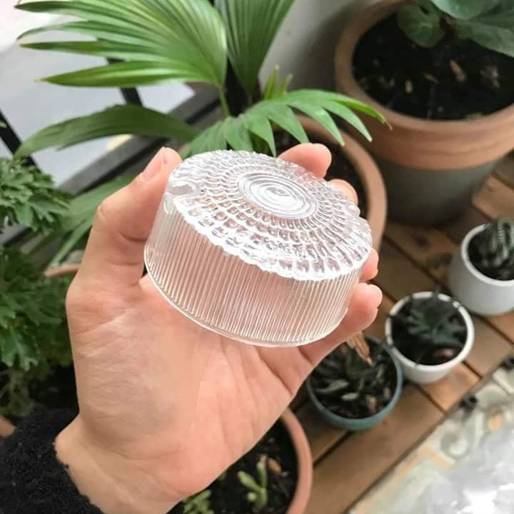 Chụp xi nhan và chụp đèn hậu cub 81