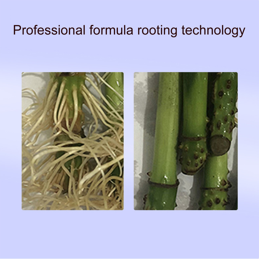 Fast Rooting Stimulator Plant Rapid Rooting Agent Root Stimulator For Plants Root Supplement For Houseplant Garden Supplies